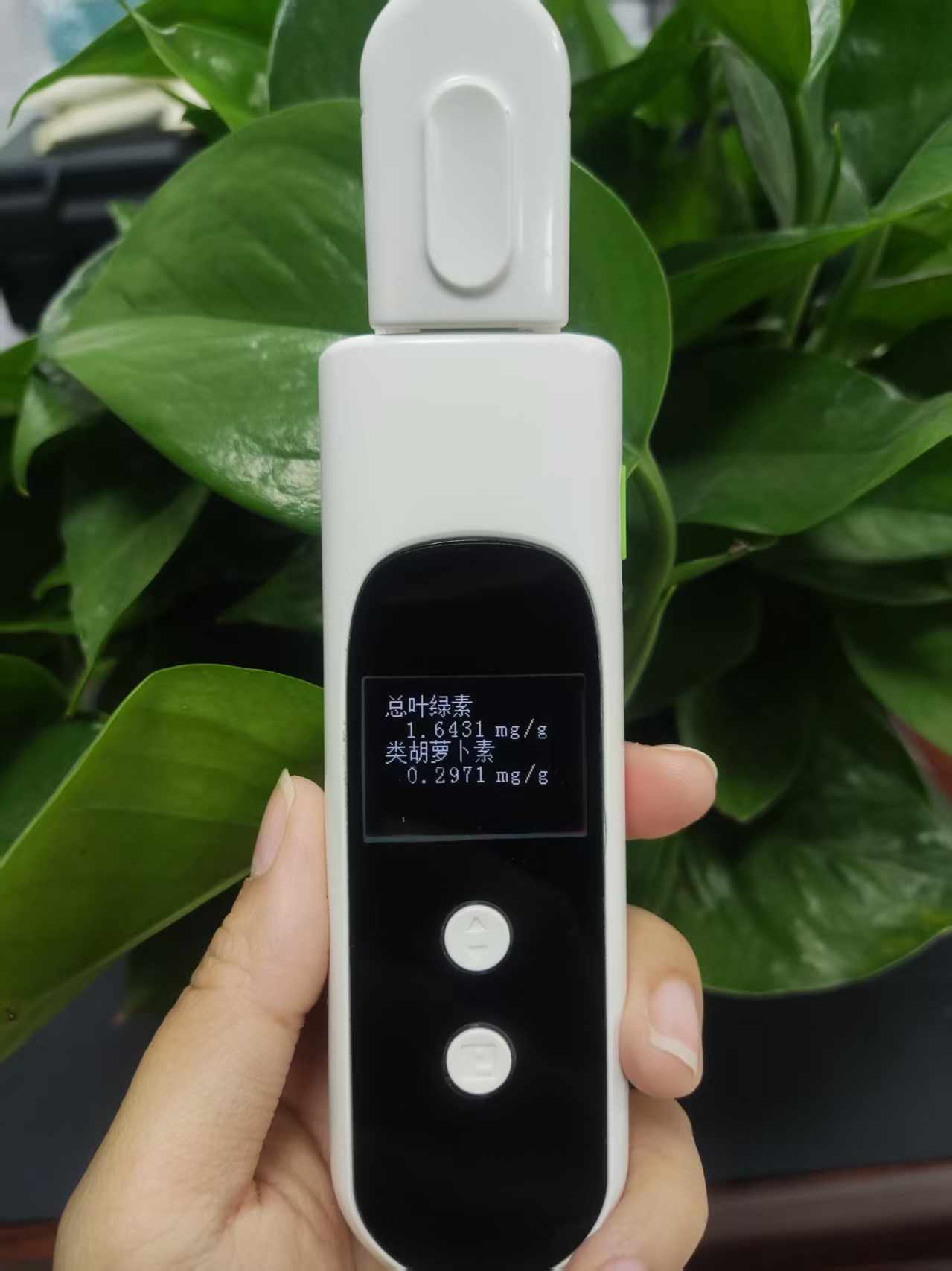 植物光合色素測(cè)定儀