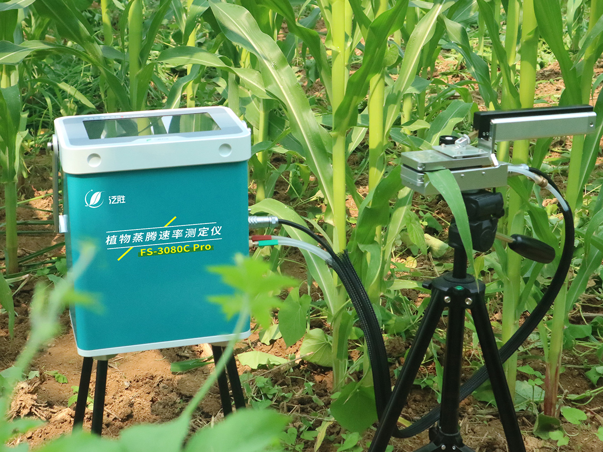 FS-3080C Pro植物蒸騰速率測定儀-泛勝科技